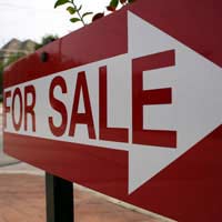 Home Information Packs Hips Online